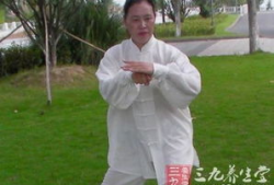 杨氏太极拳24式视频分解动作教学,循序渐进掌握太极拳精髓